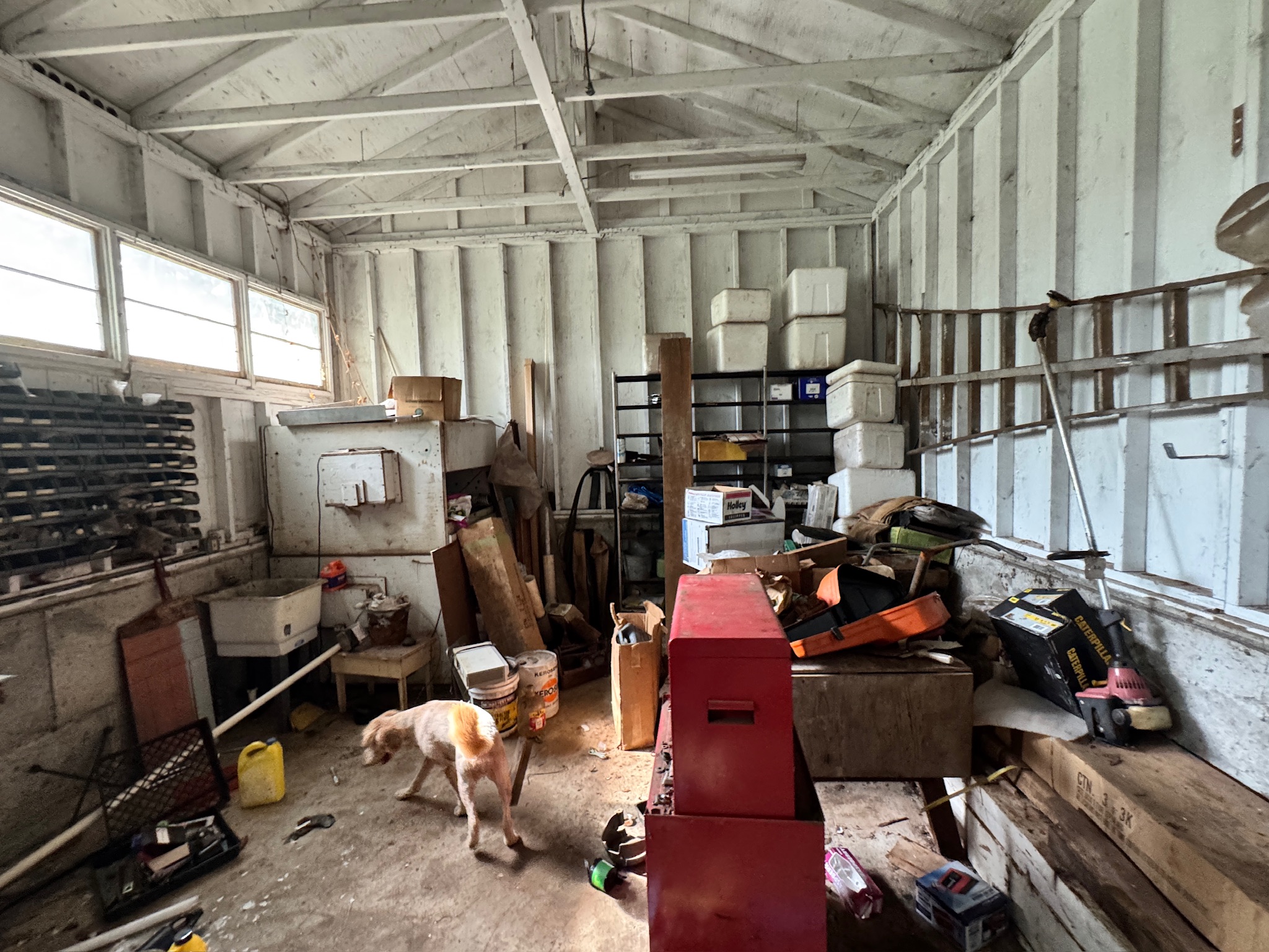 Professional cleanout services including estate and office cleanouts