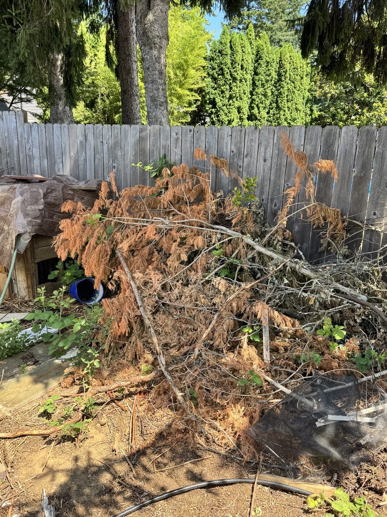 Tree branch debris ready for yard waste removal in Portland